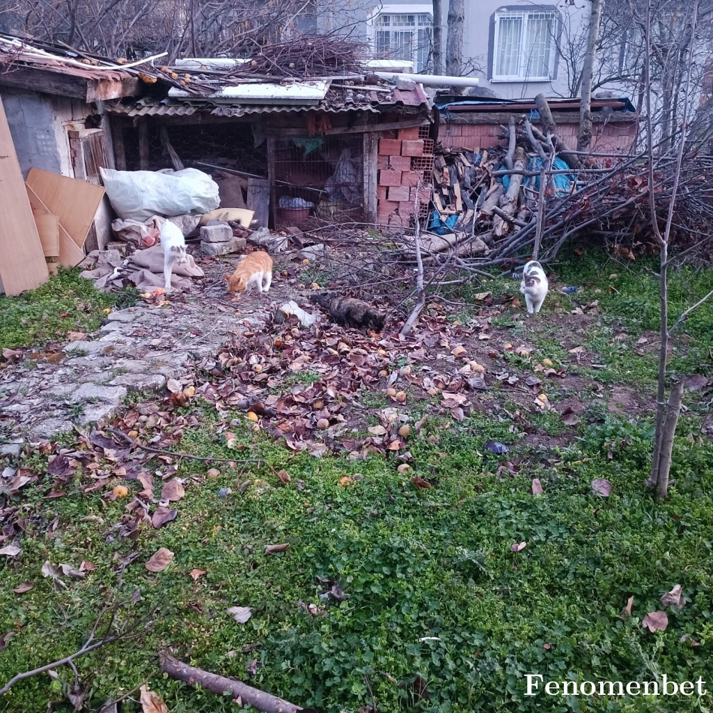 Pusat0505 tarafından paylaşıldı