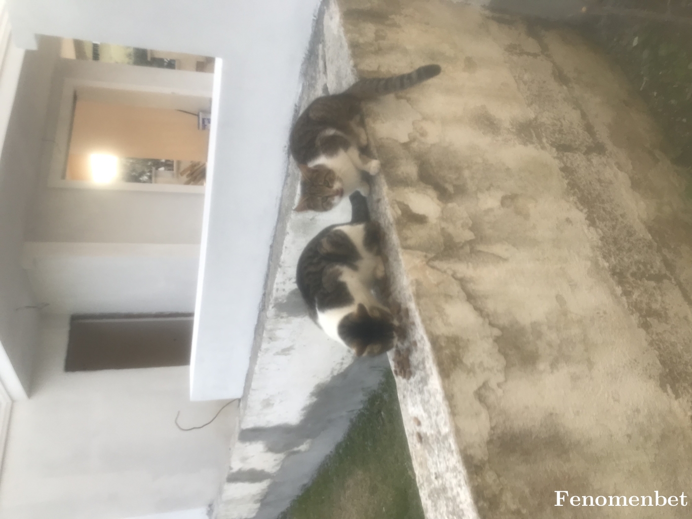Aysin35 tarafından paylaşıldı