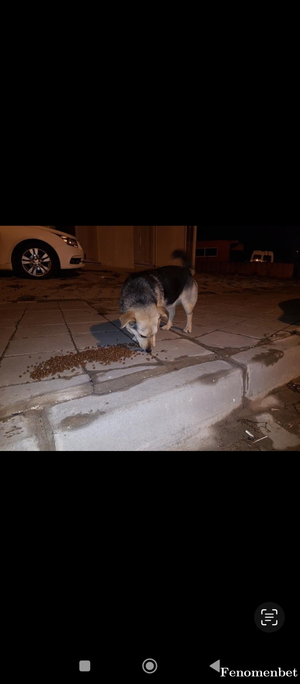 Kayra29 tarafından paylaşıldı