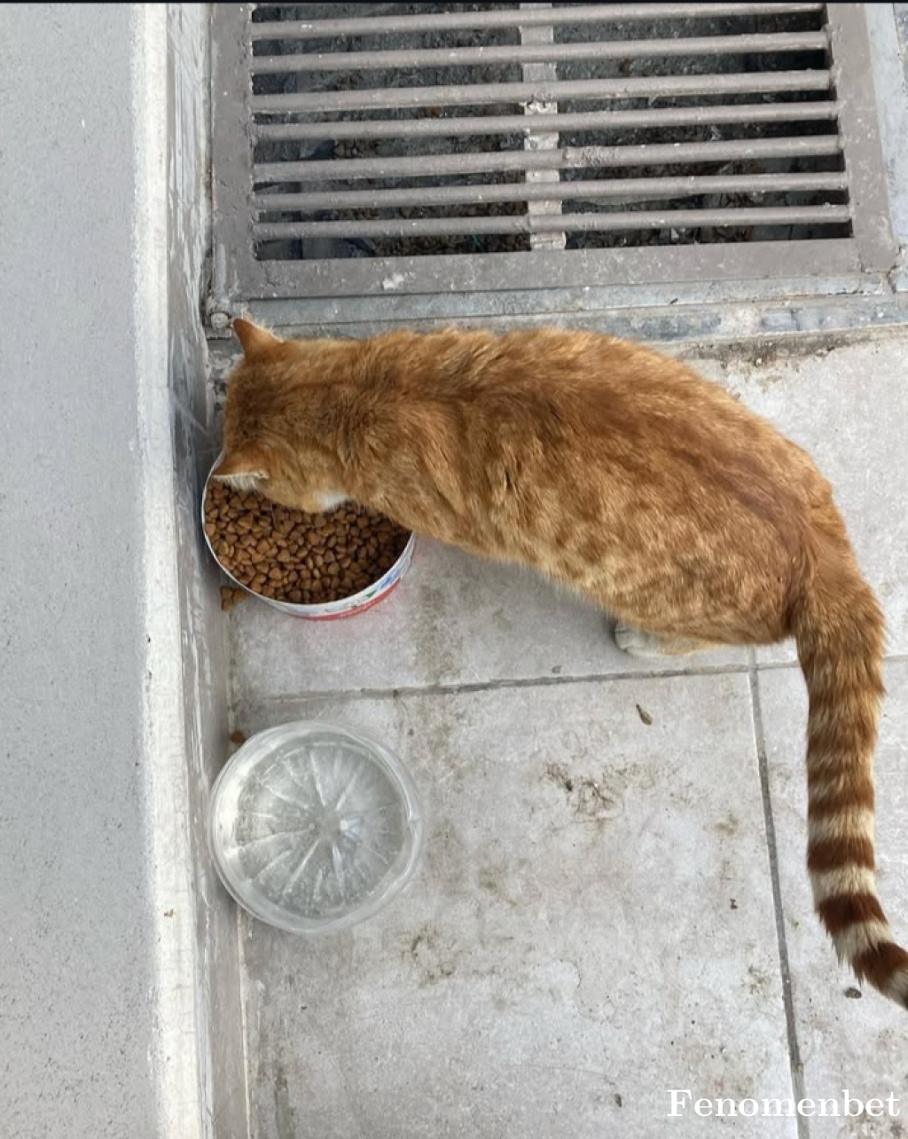 Mlhtskn53 tarafından paylaşıldı