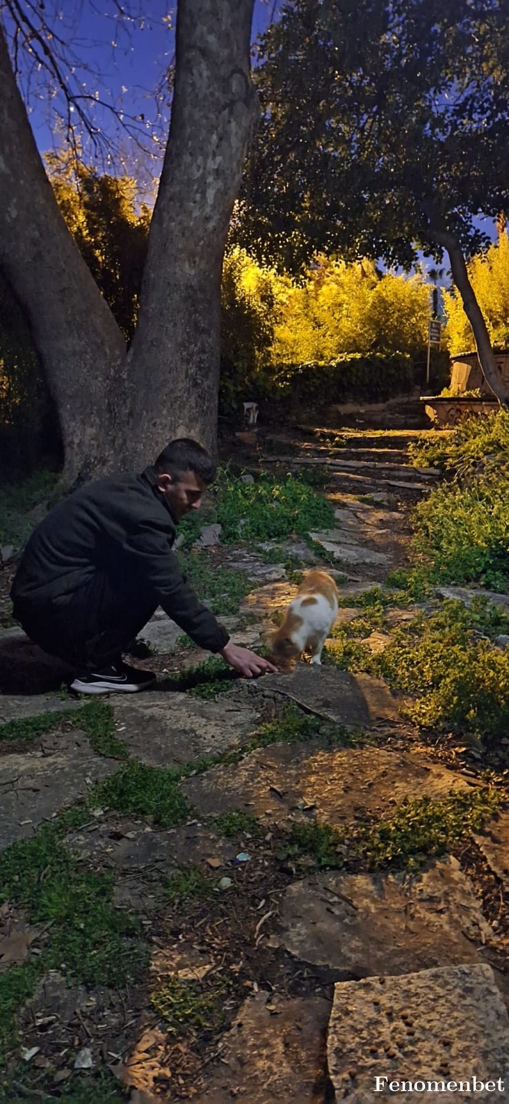 Ahmetshn07 tarafından paylaşıldı