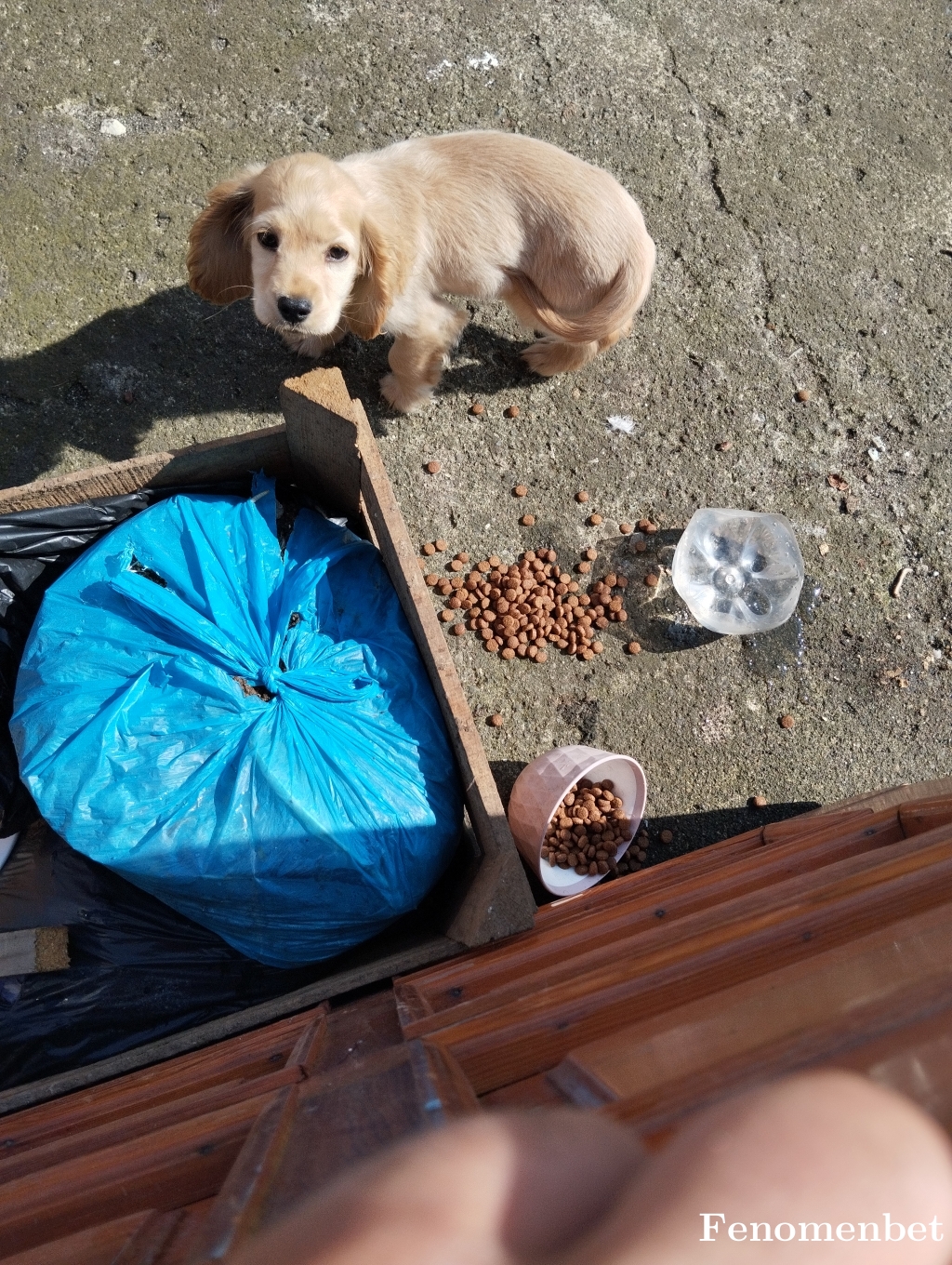 Mertcany tarafından paylaşıldı
