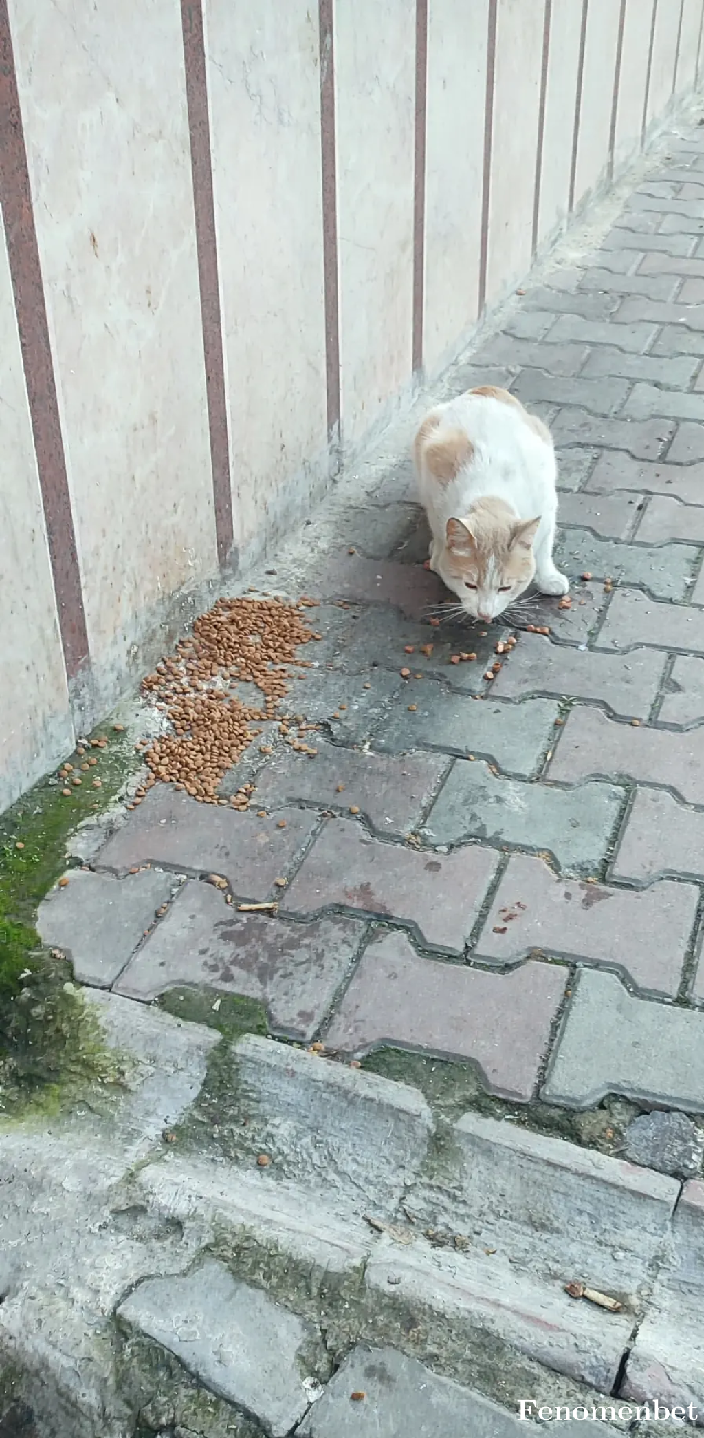 Seyma999 tarafından paylaşıldı