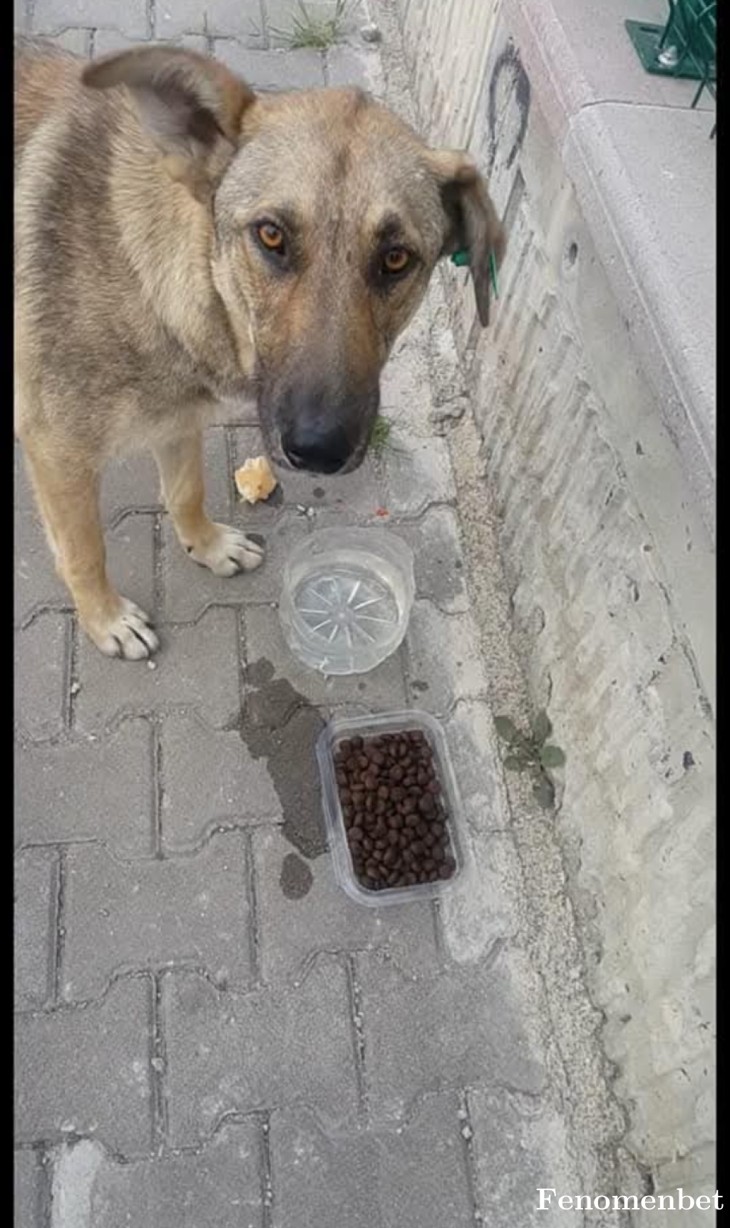 kadirdilsat tarafından paylaşıldı