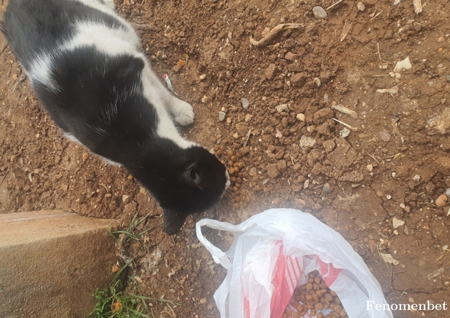 Beyaz32 tarafından paylaşıldı