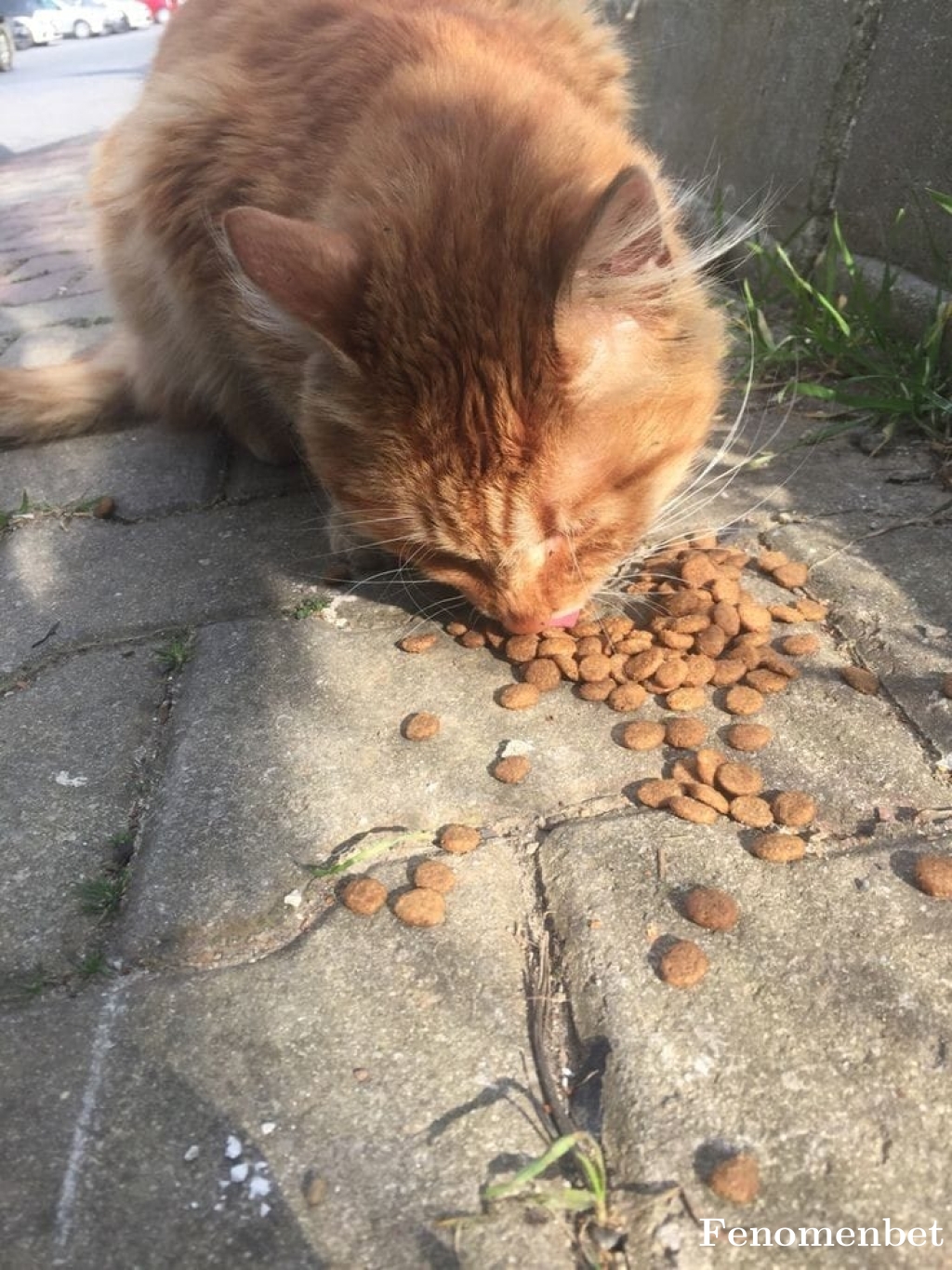 davutgke tarafından paylaşıldı