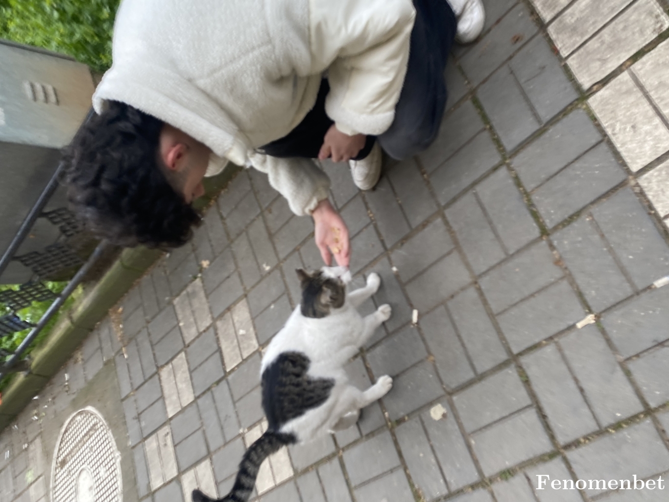 Chapterz tarafından paylaşıldı