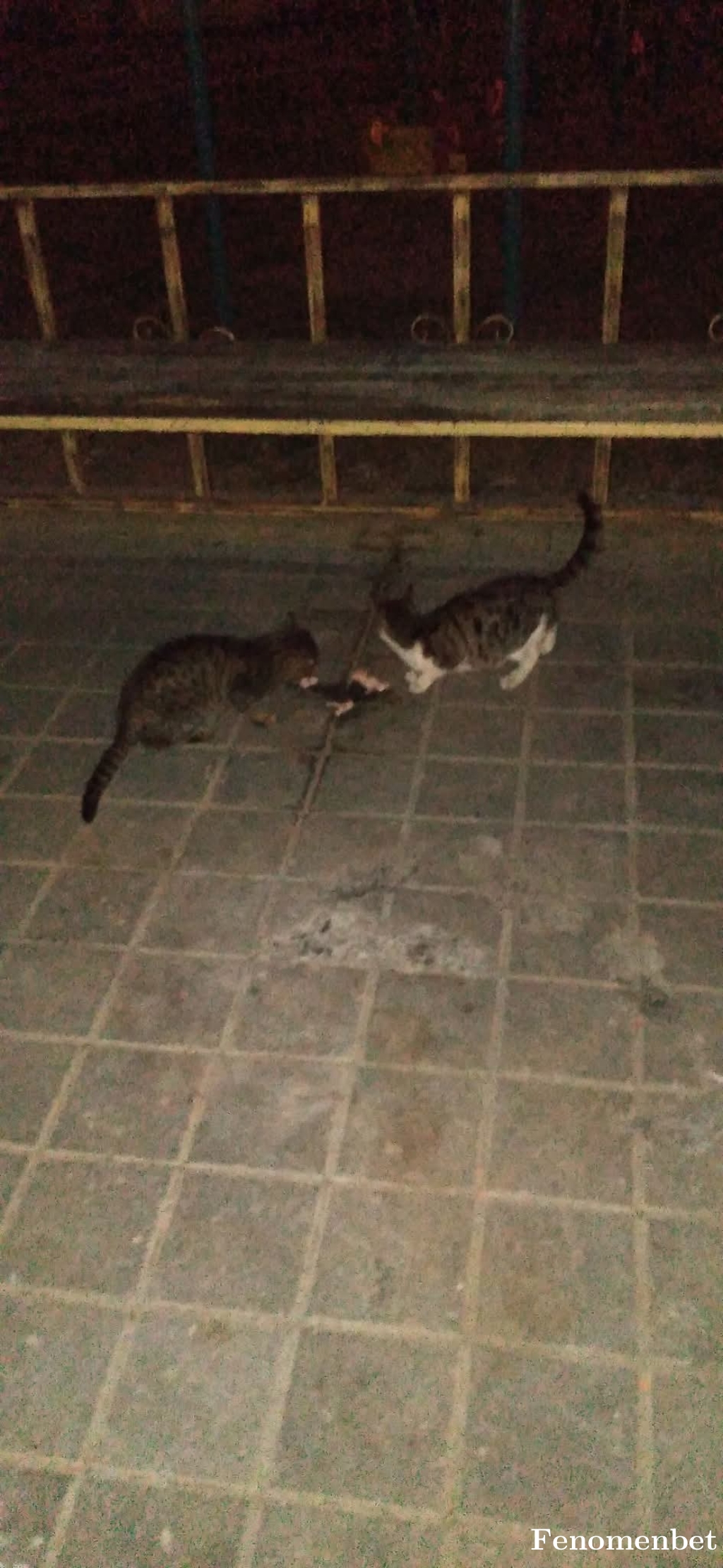 ogzz07 tarafından paylaşıldı