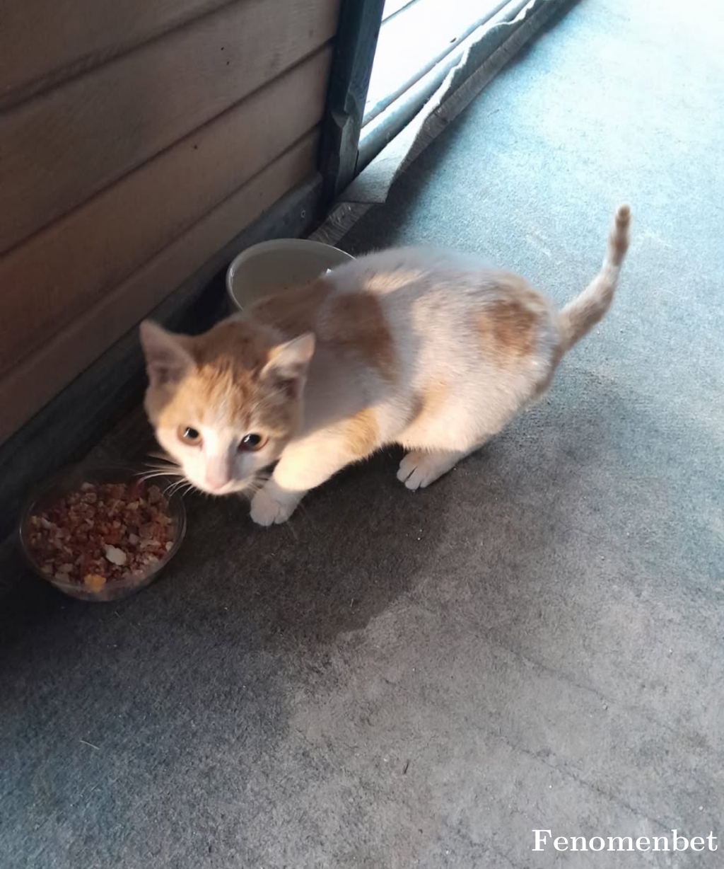 jeanvelcoro tarafından paylaşıldı