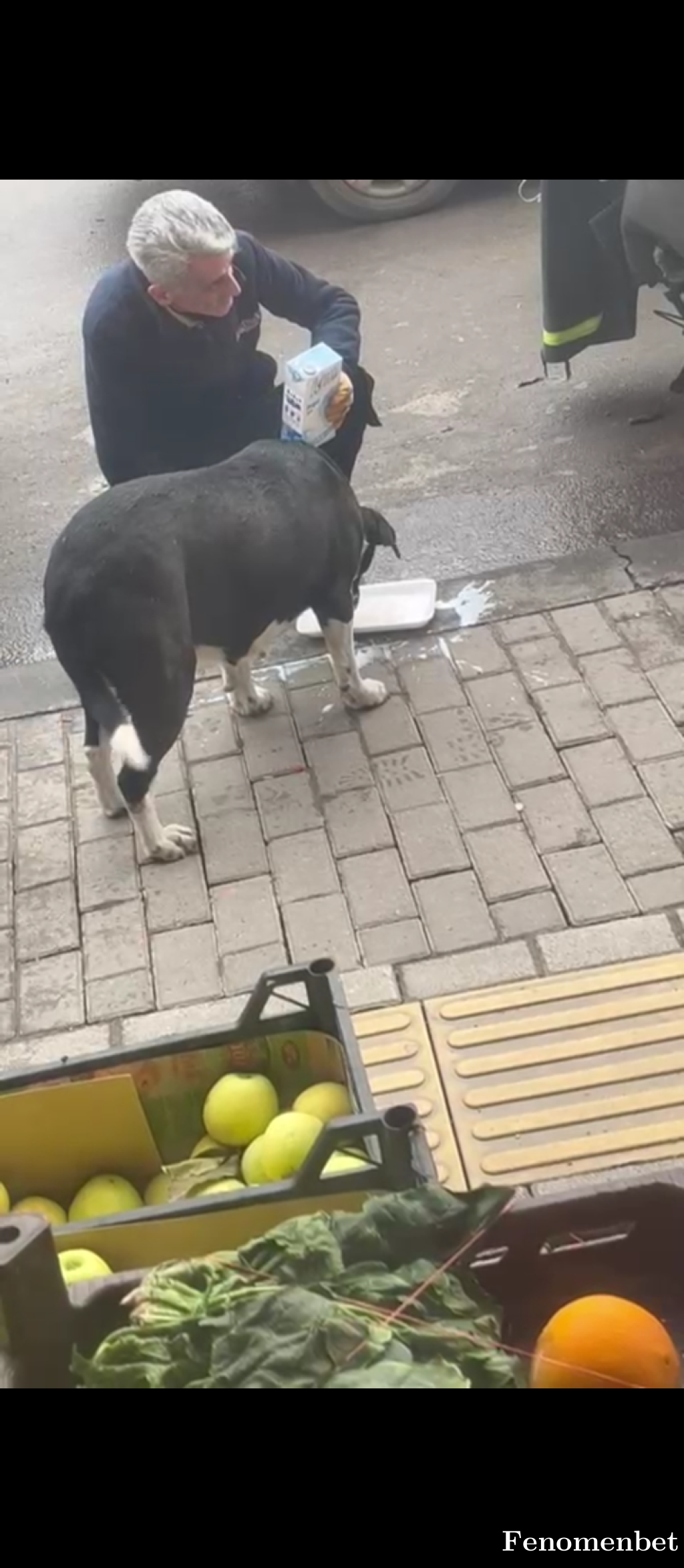 mehmetdogann tarafından paylaşıldı