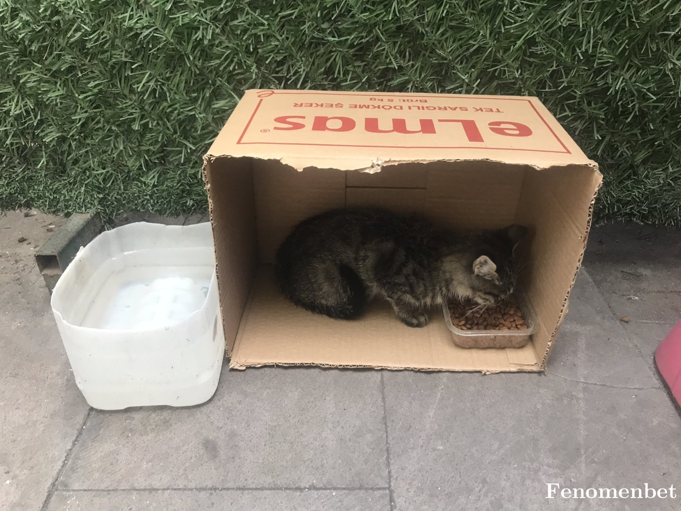 WallaceSory tarafından paylaşıldı