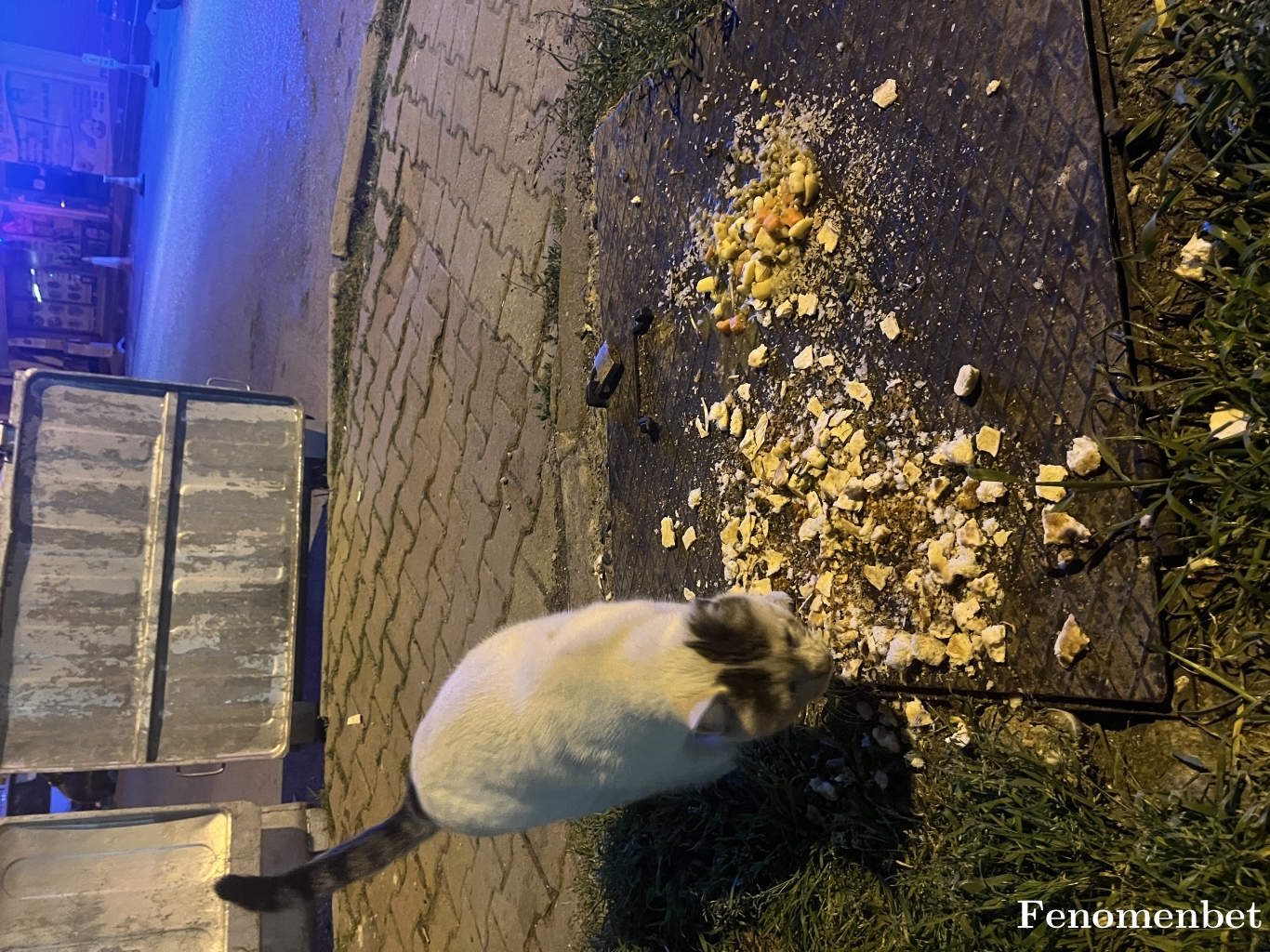sungurolcay tarafından paylaşıldı