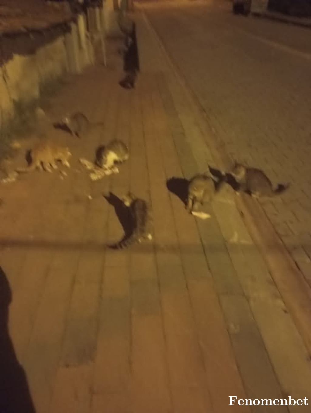 Bardaksu1 tarafından paylaşıldı