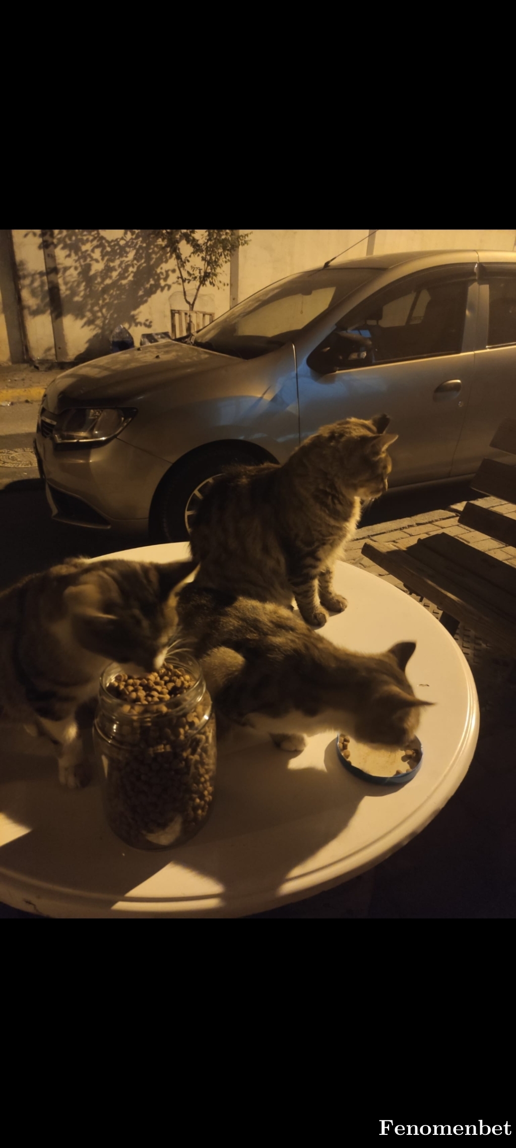 GameVito  tarafından paylaşıldı