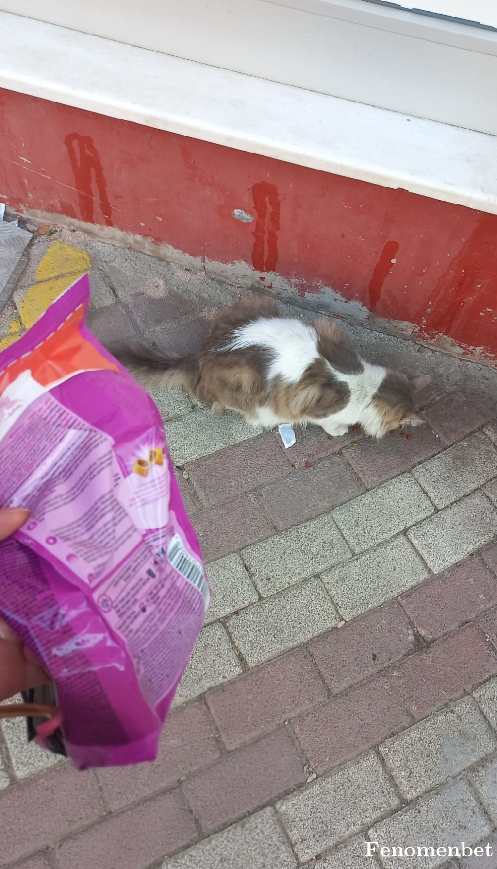 Alihankarpuz  tarafından paylaşıldı