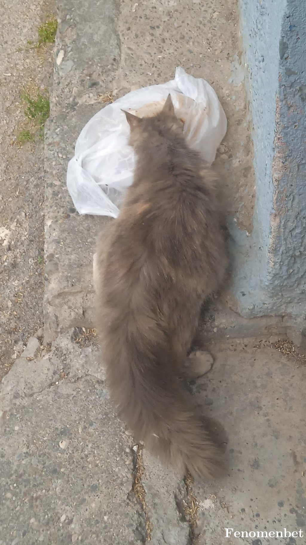 Mardinli47sami tarafından paylaşıldı