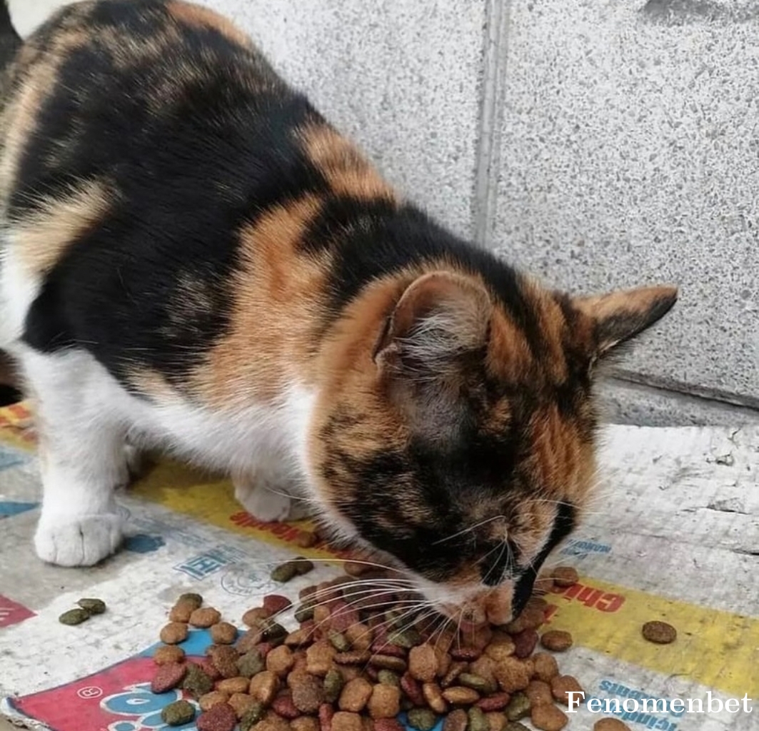 Karatek9 tarafından paylaşıldı