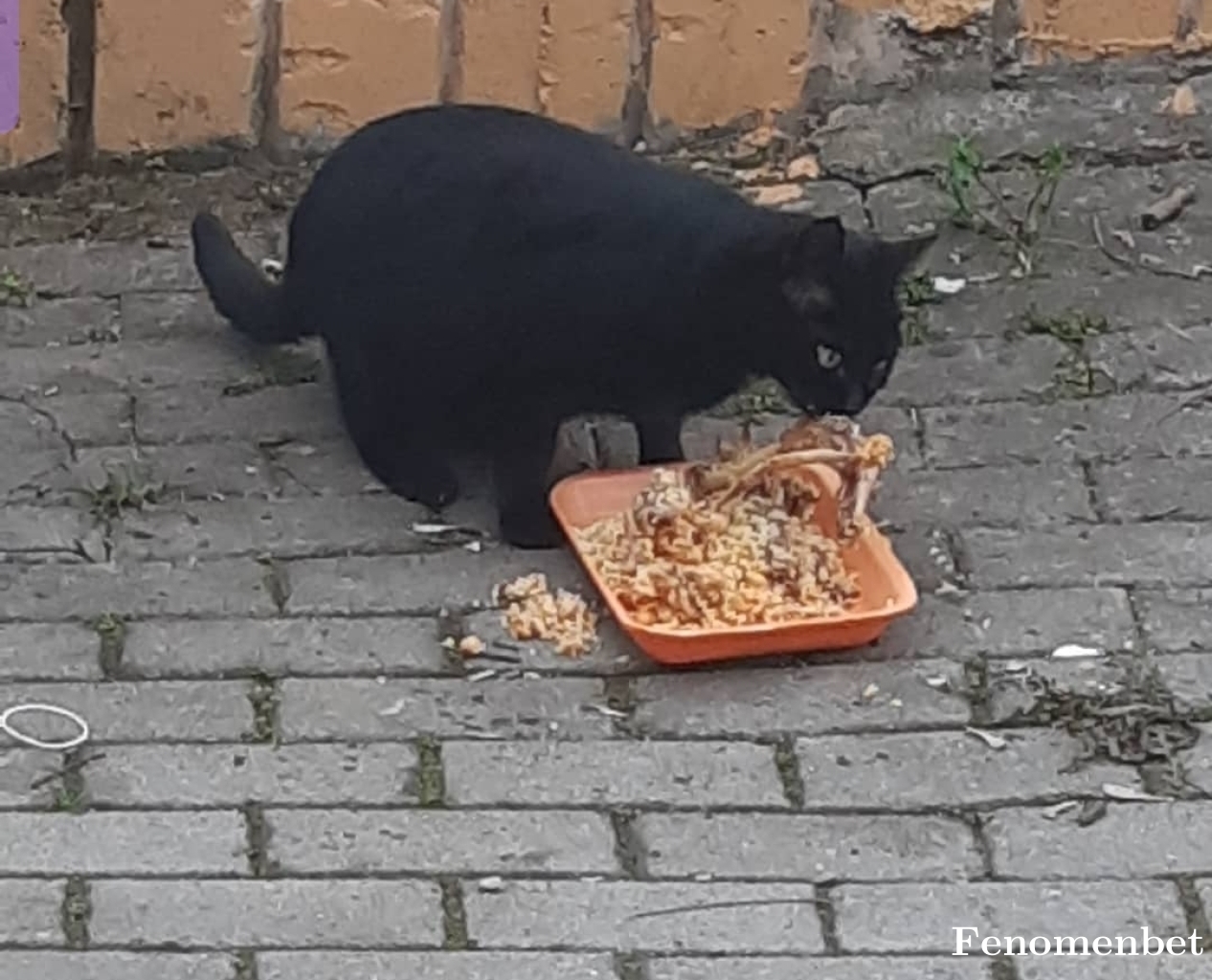 Busetigrak tarafından paylaşıldı