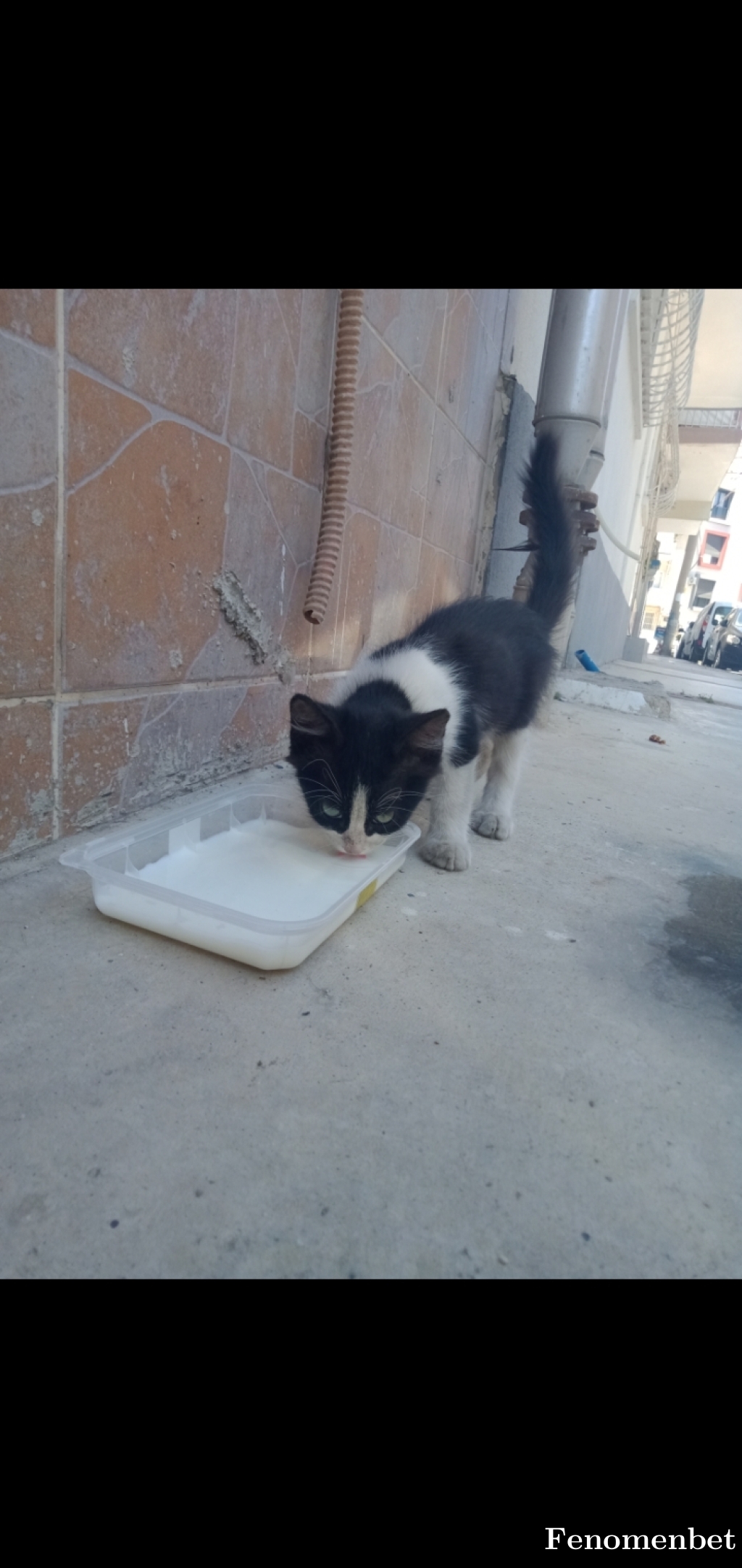 Casenos tarafından paylaşıldı