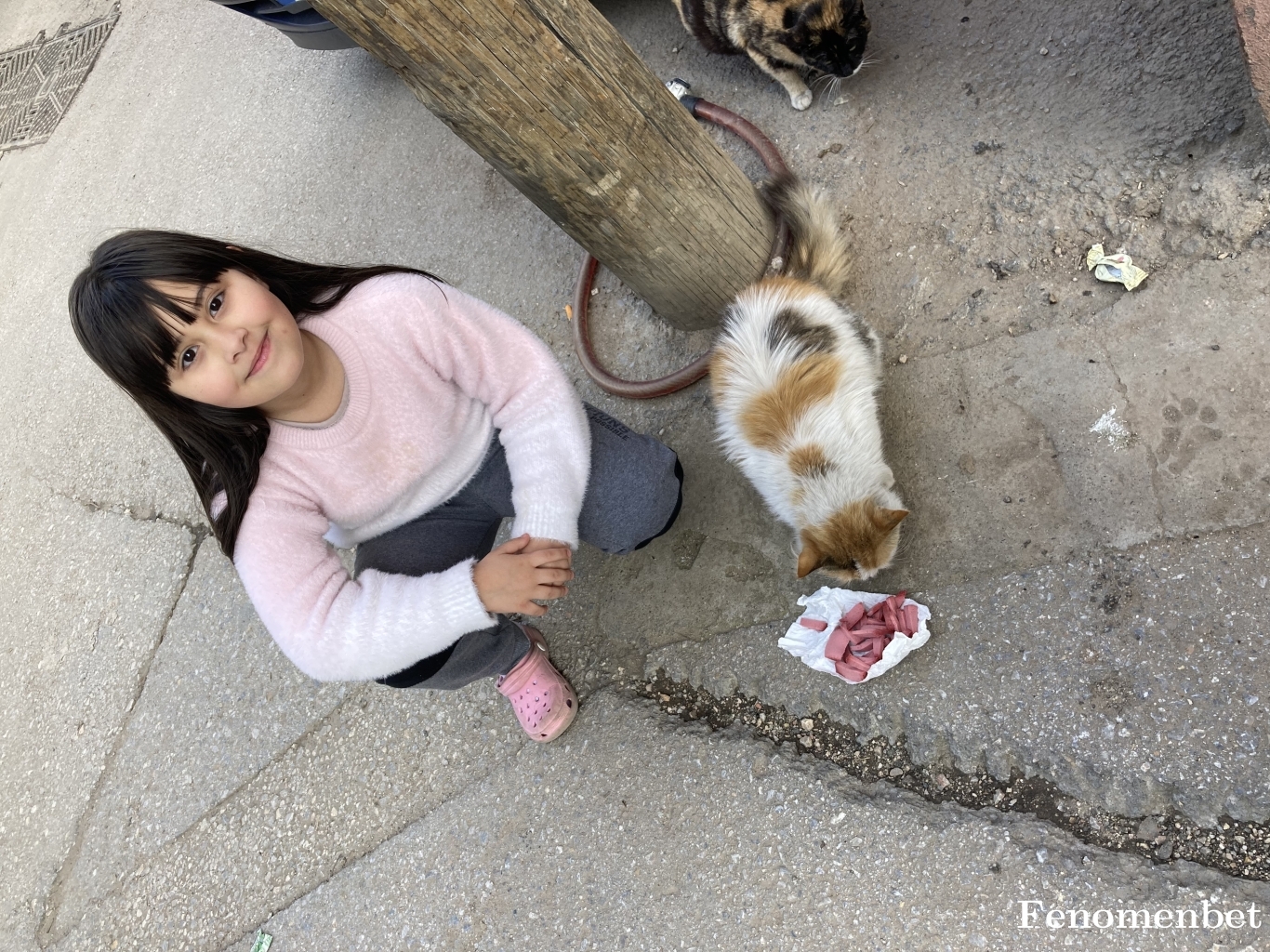Dengesiz162 tarafından paylaşıldı