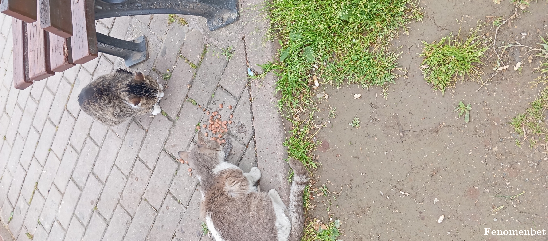 hyrsnl tarafından paylaşıldı