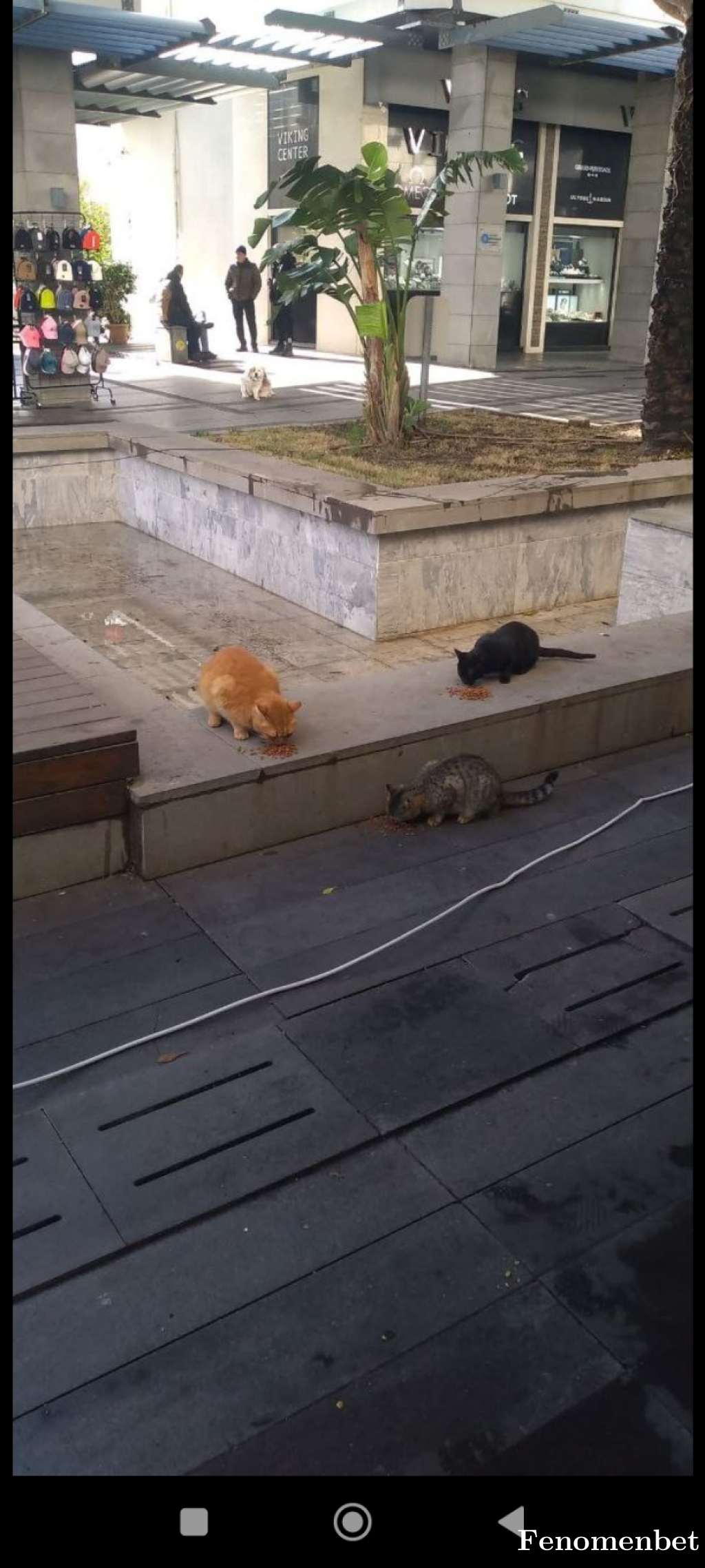 Batuhanderin4 tarafından paylaşıldı