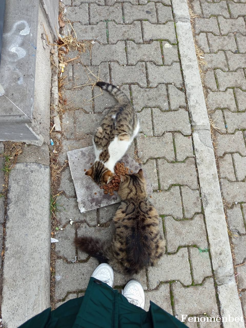 Musado tarafından paylaşıldı