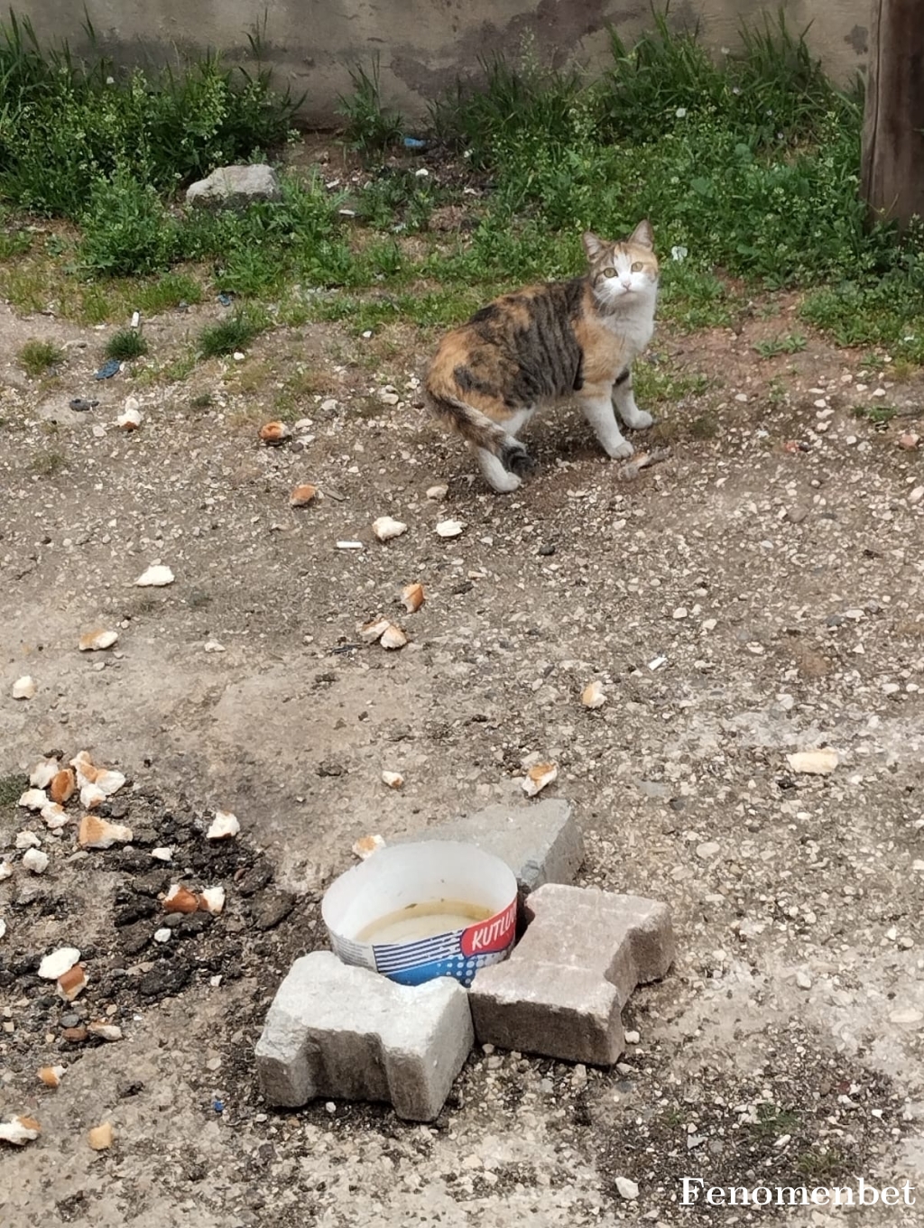 Parlak2733 tarafından paylaşıldı