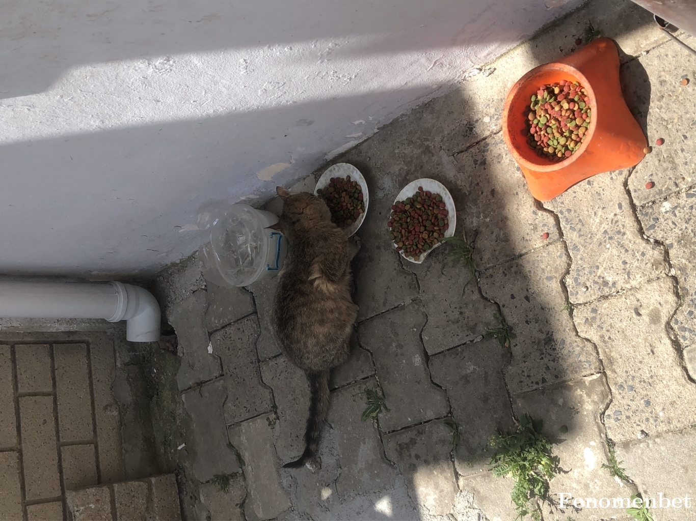 pelinesirrrrr tarafından paylaşıldı