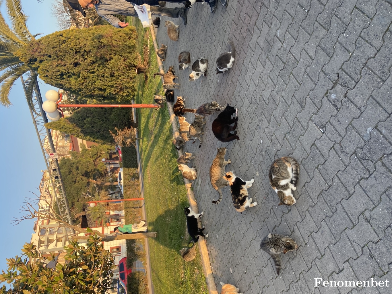 mucahit72 tarafından paylaşıldı