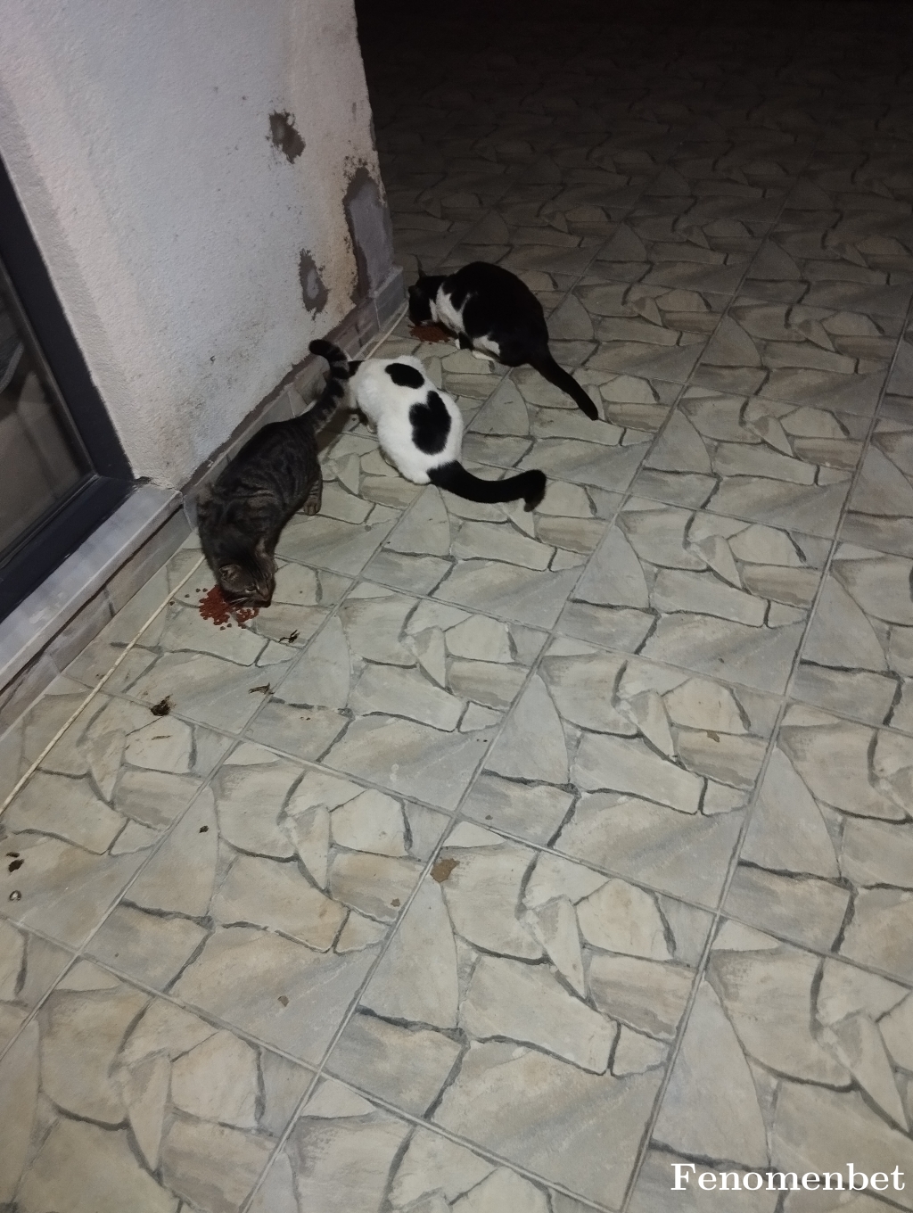 uzmmmt tarafından paylaşıldı