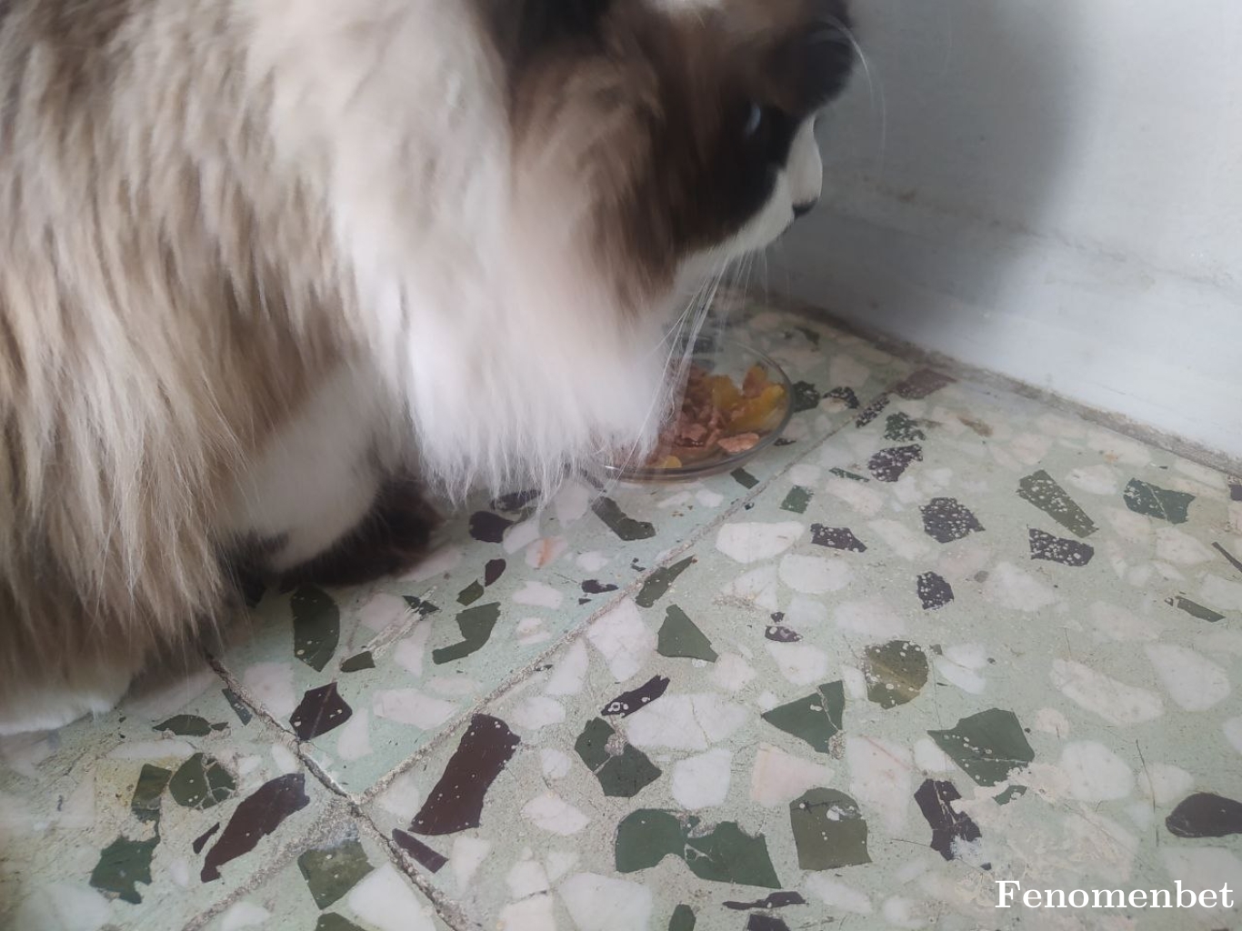 mavibere23 tarafından paylaşıldı