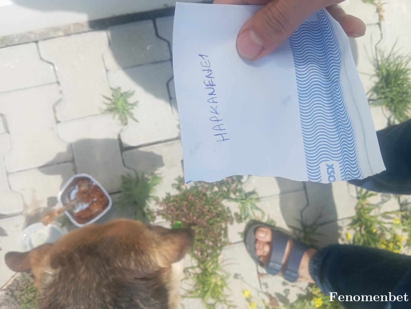 Hapkanene1 tarafından paylaşıldı