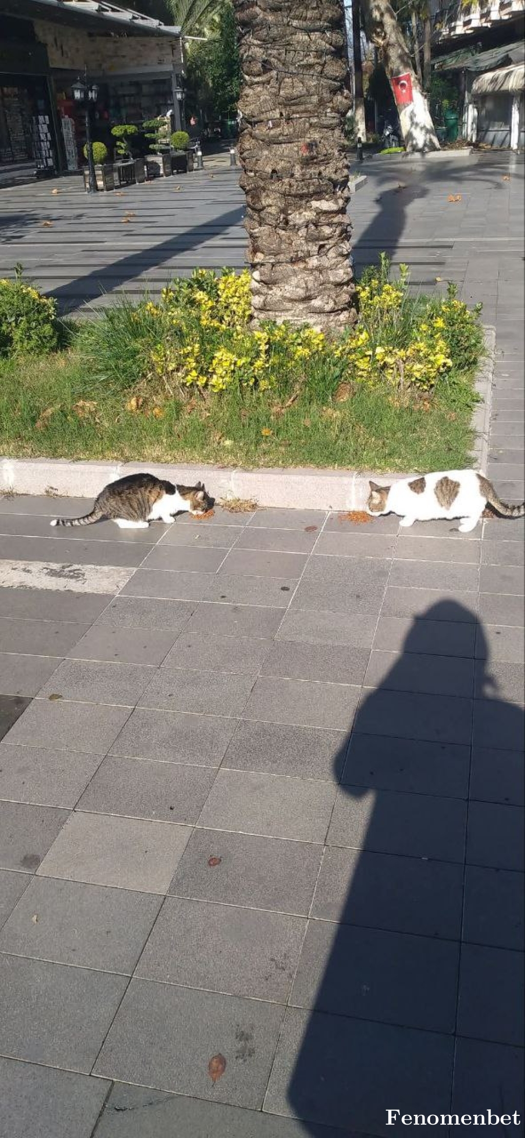mty17 tarafından paylaşıldı