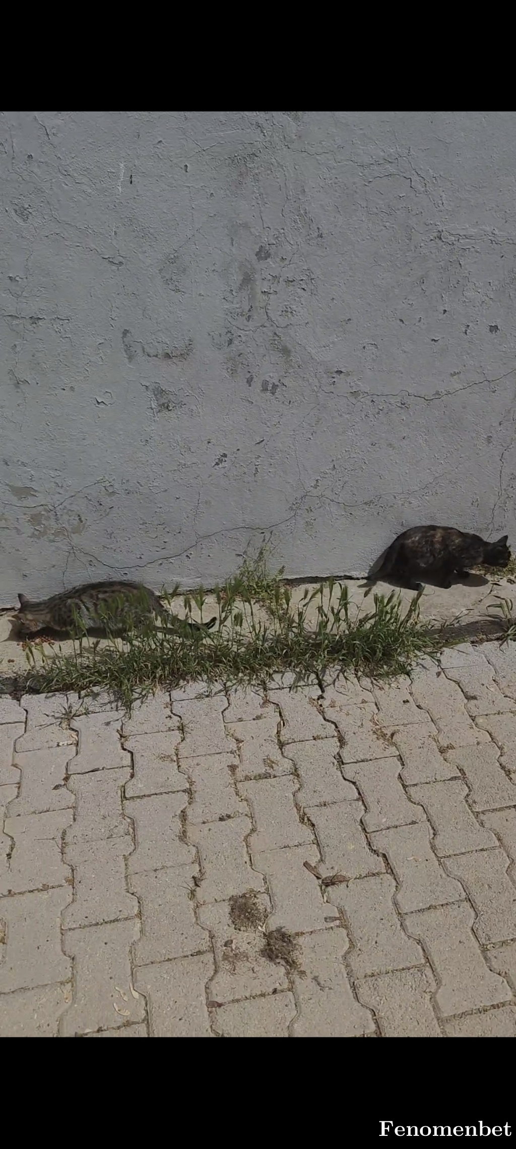 Bytufannn tarafından paylaşıldı