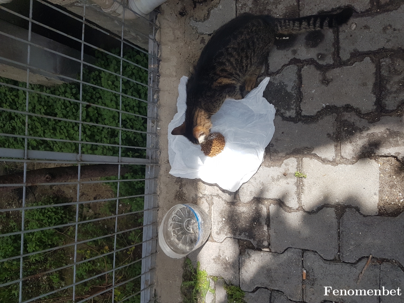 cerrah53 tarafından paylaşıldı
