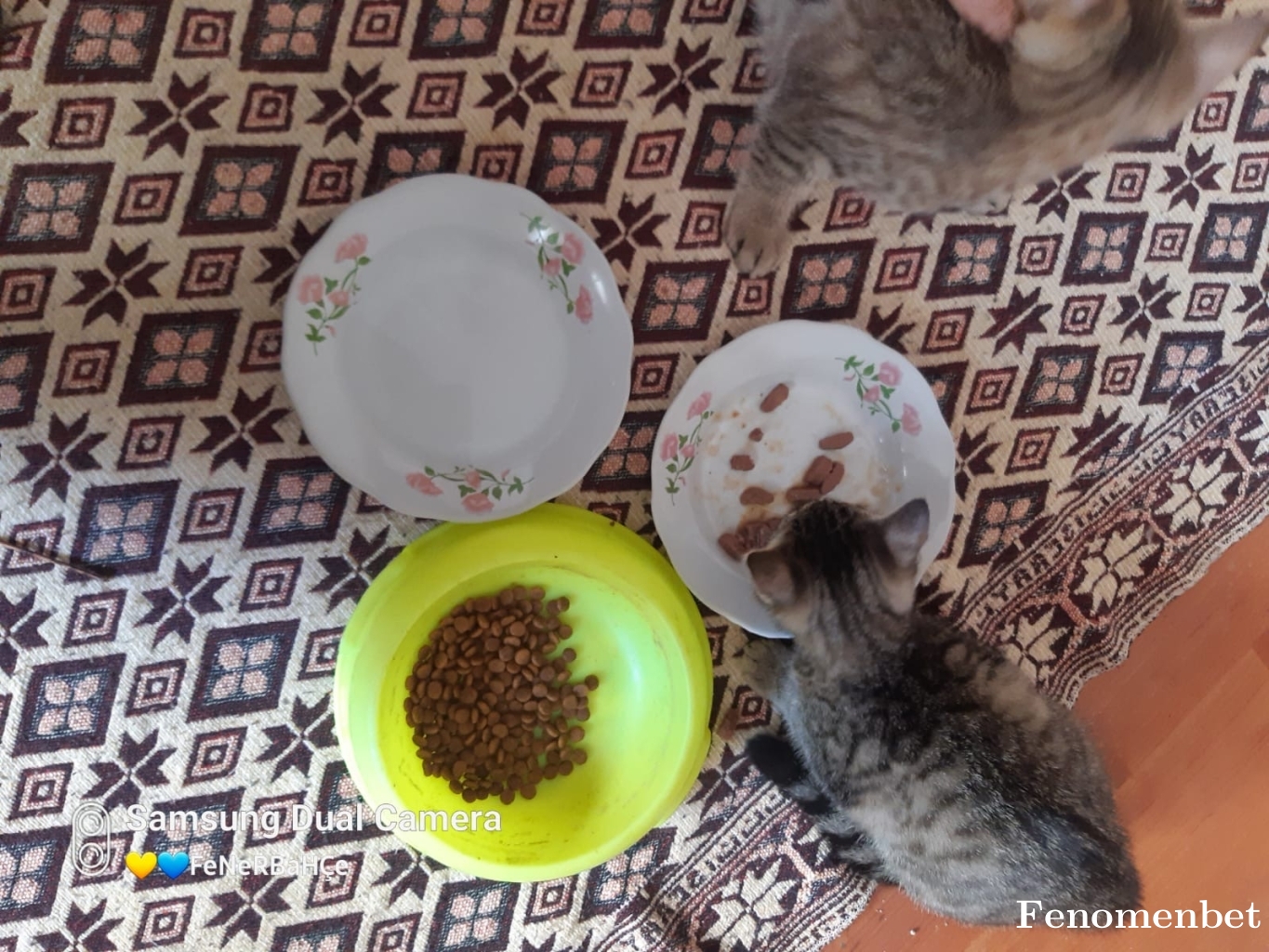 Llotus tarafından paylaşıldı