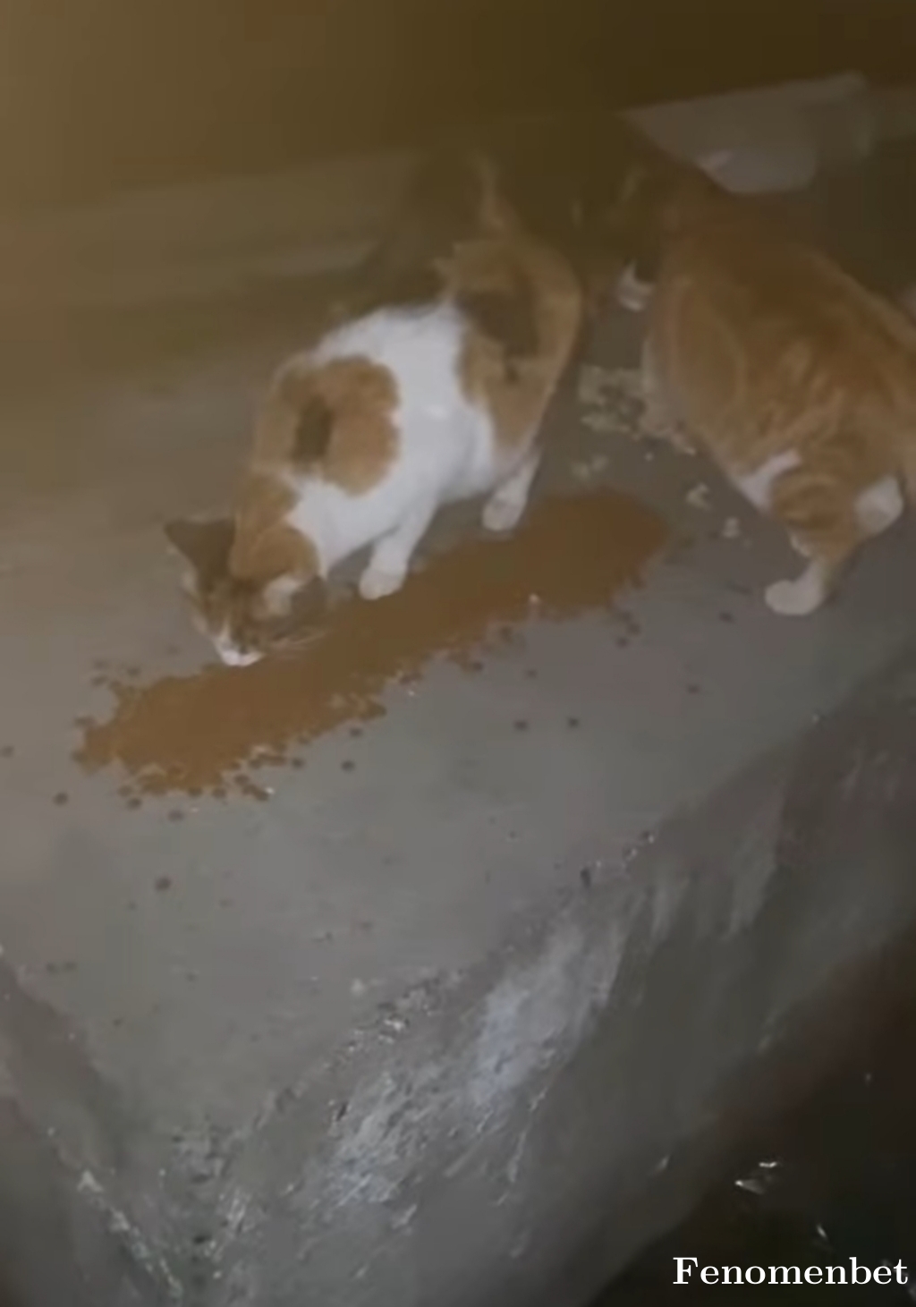 laaiol tarafından paylaşıldı