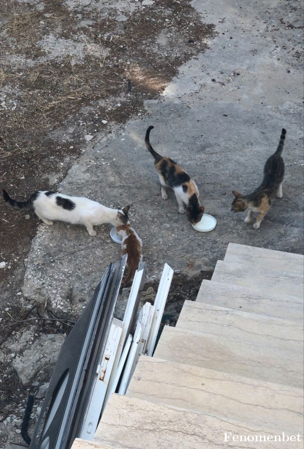 Merive42 tarafından paylaşıldı