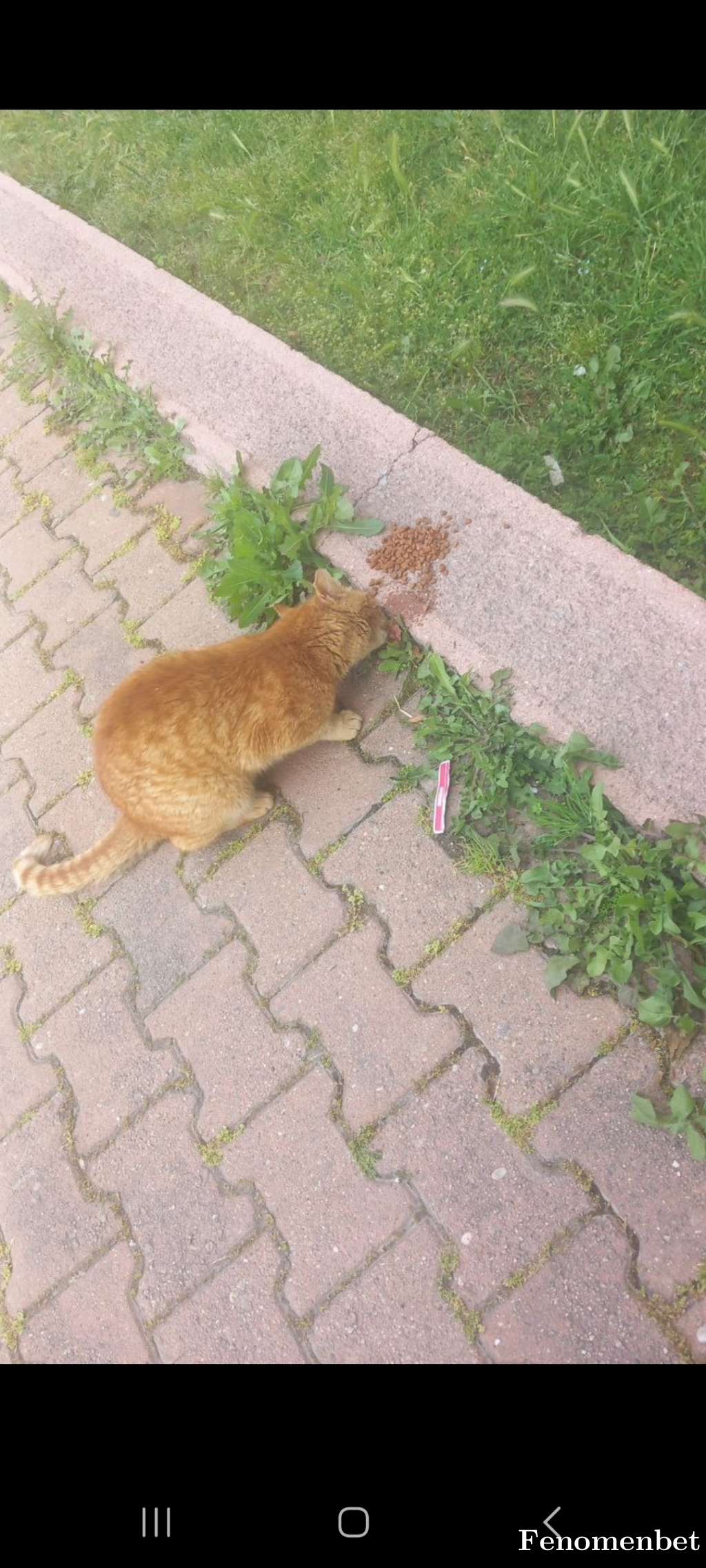 Tolgacn97 tarafından paylaşıldı