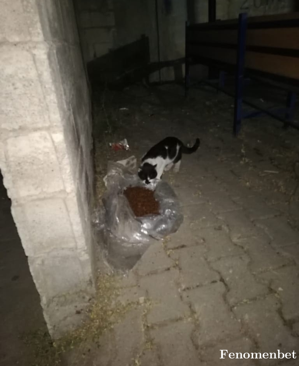 umer56x tarafından paylaşıldı