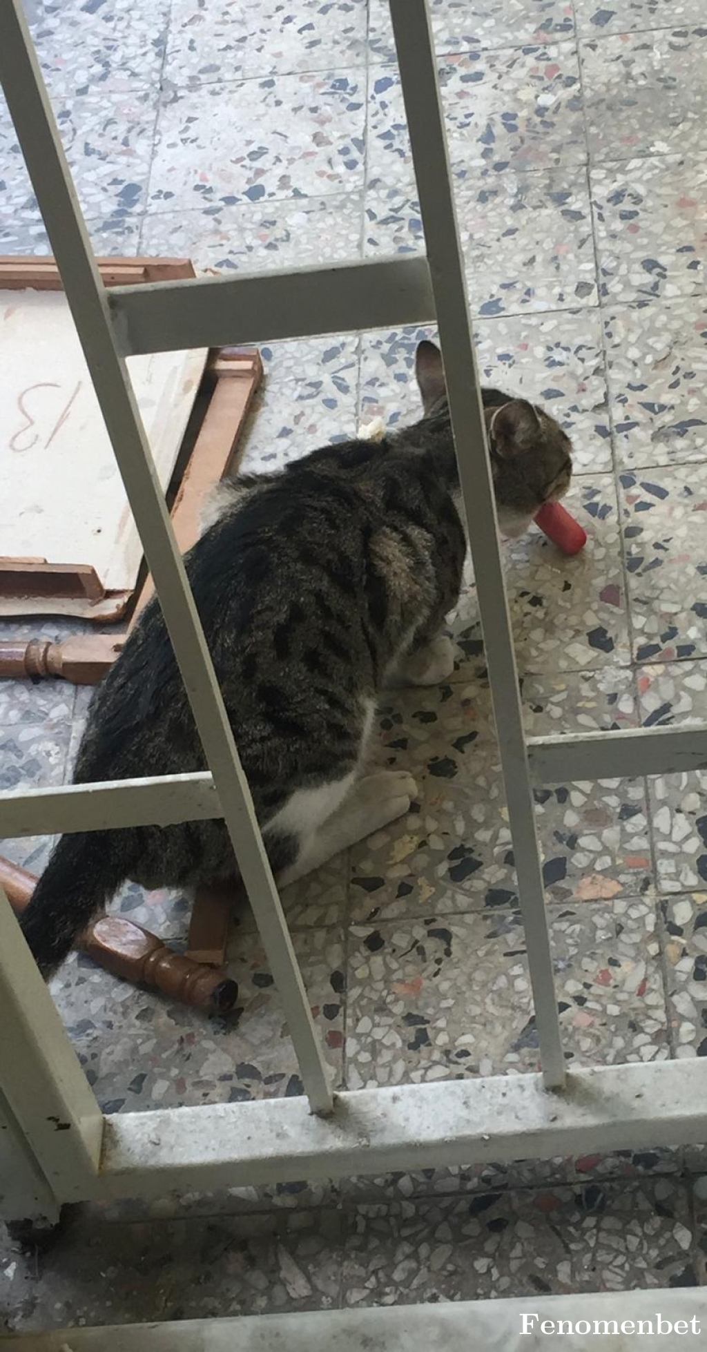 yagmur72 tarafından paylaşıldı