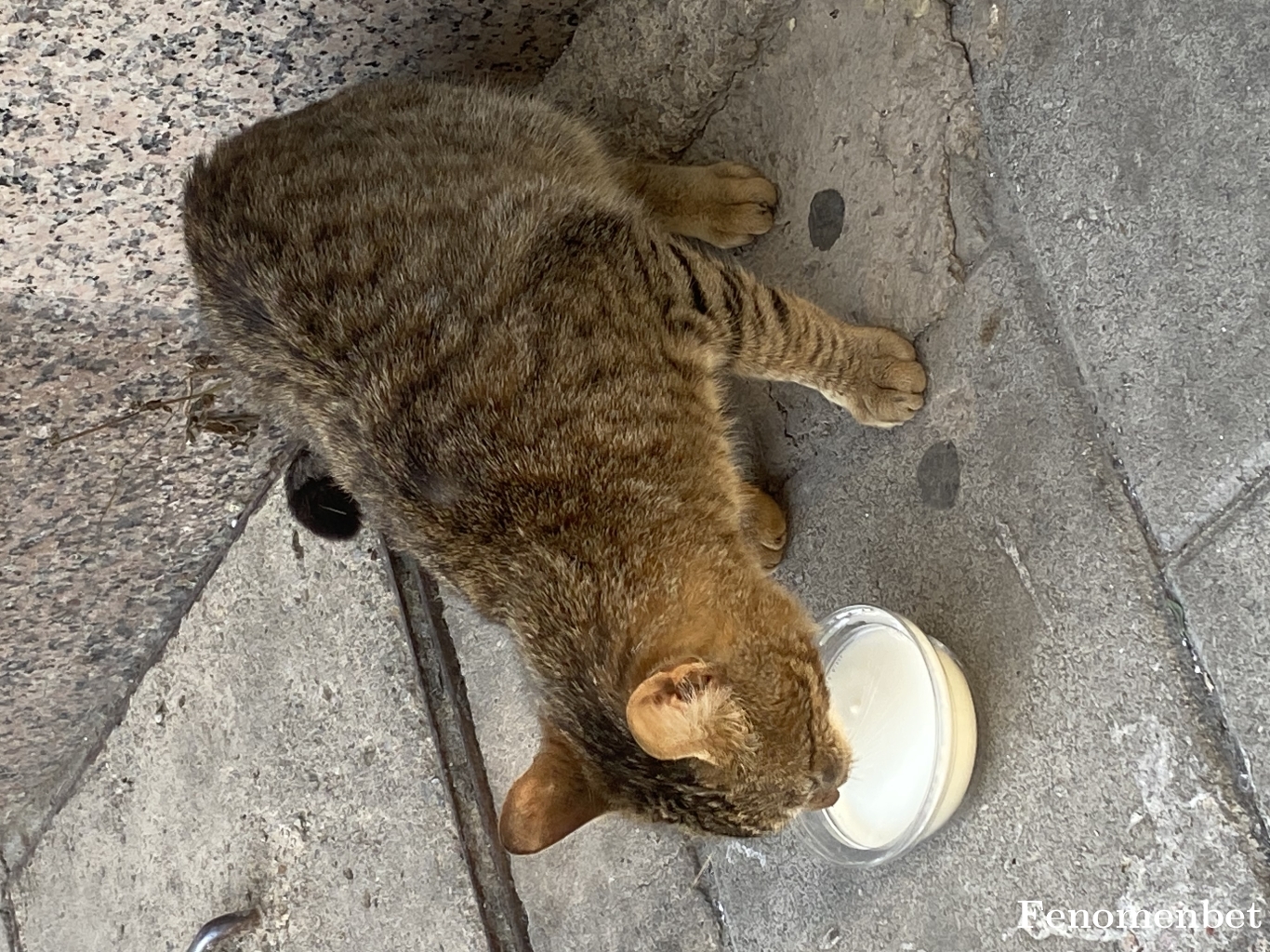 kadirt3521 tarafından paylaşıldı
