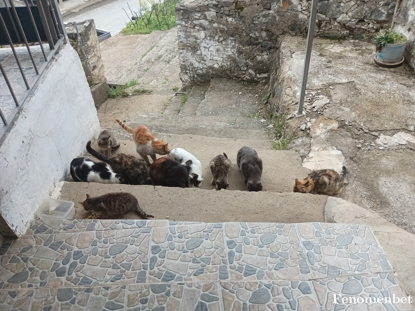 ArmgnCn tarafından paylaşıldı