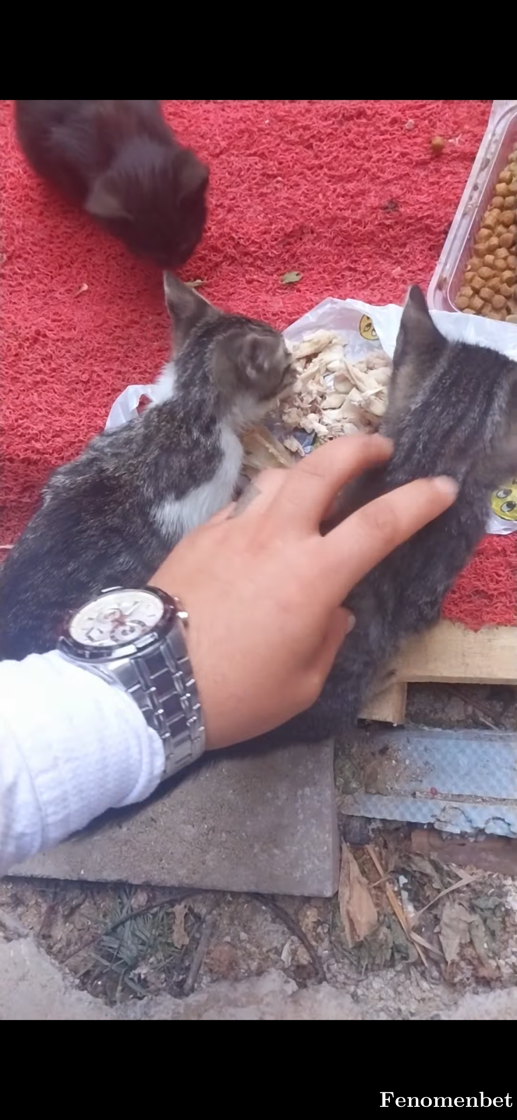 Mtlu123 tarafından paylaşıldı