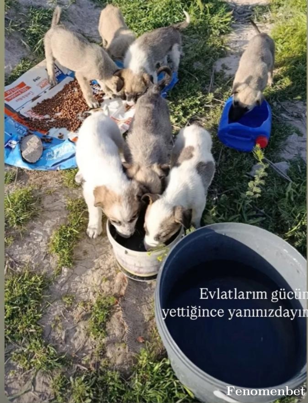 Nopeisdope tarafından paylaşıldı