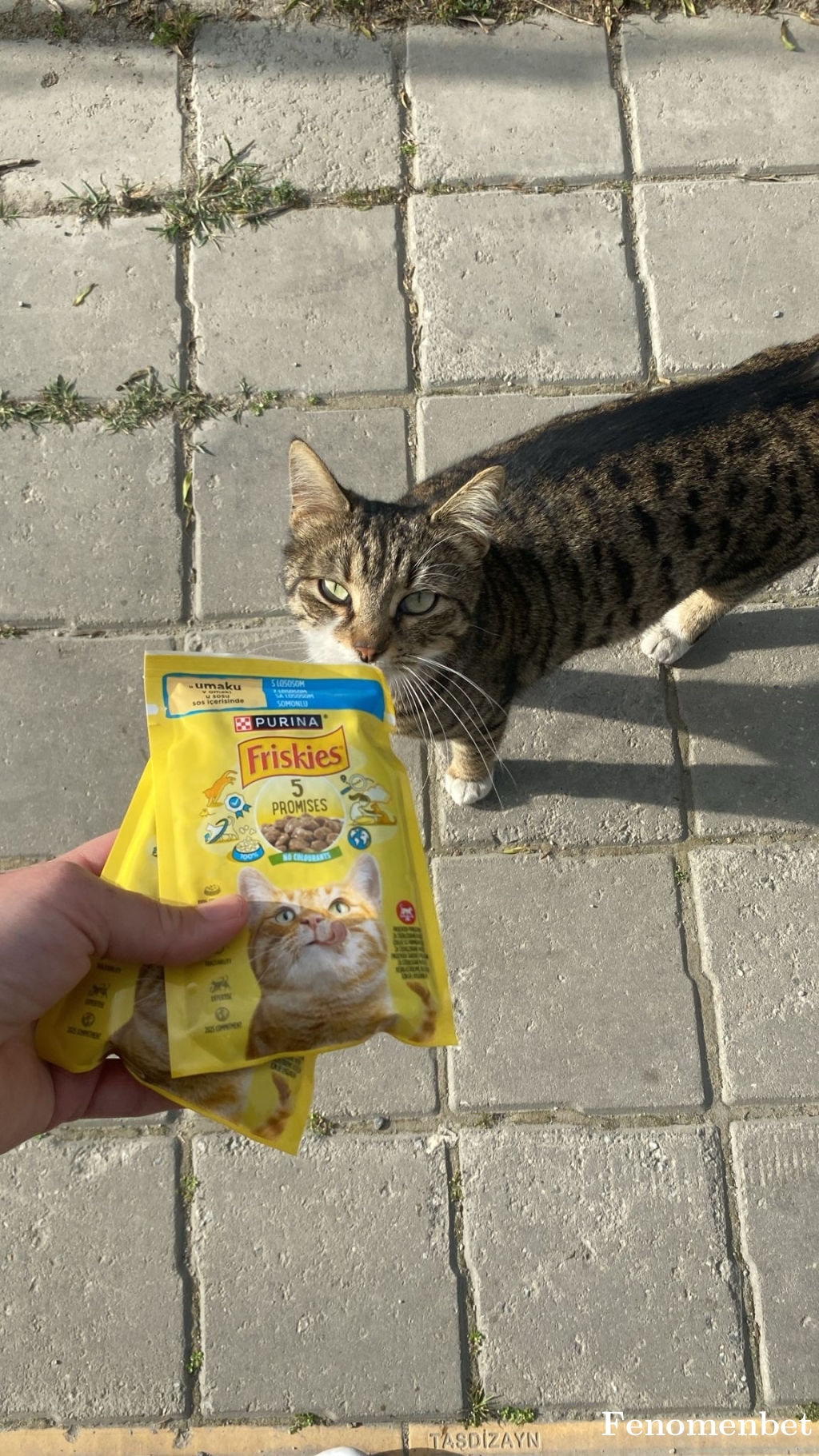 tuncer009 tarafından paylaşıldı