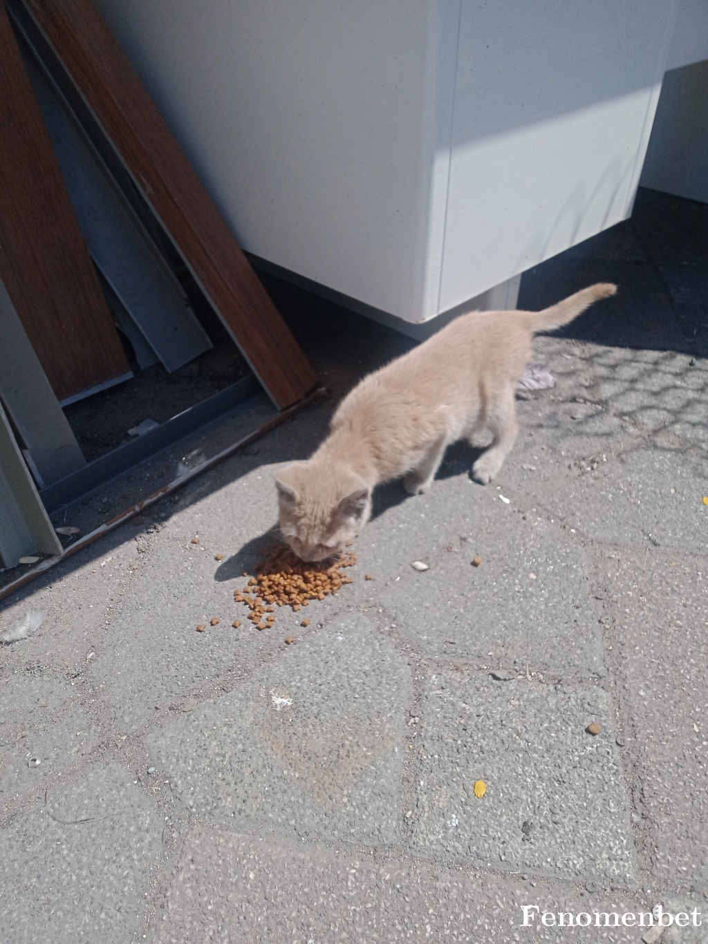 Cero13 tarafından paylaşıldı