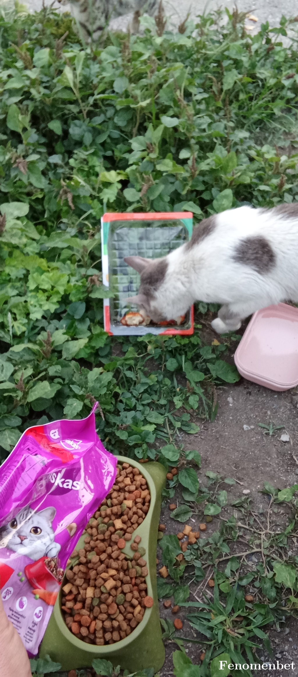 efedgn33 tarafından paylaşıldı