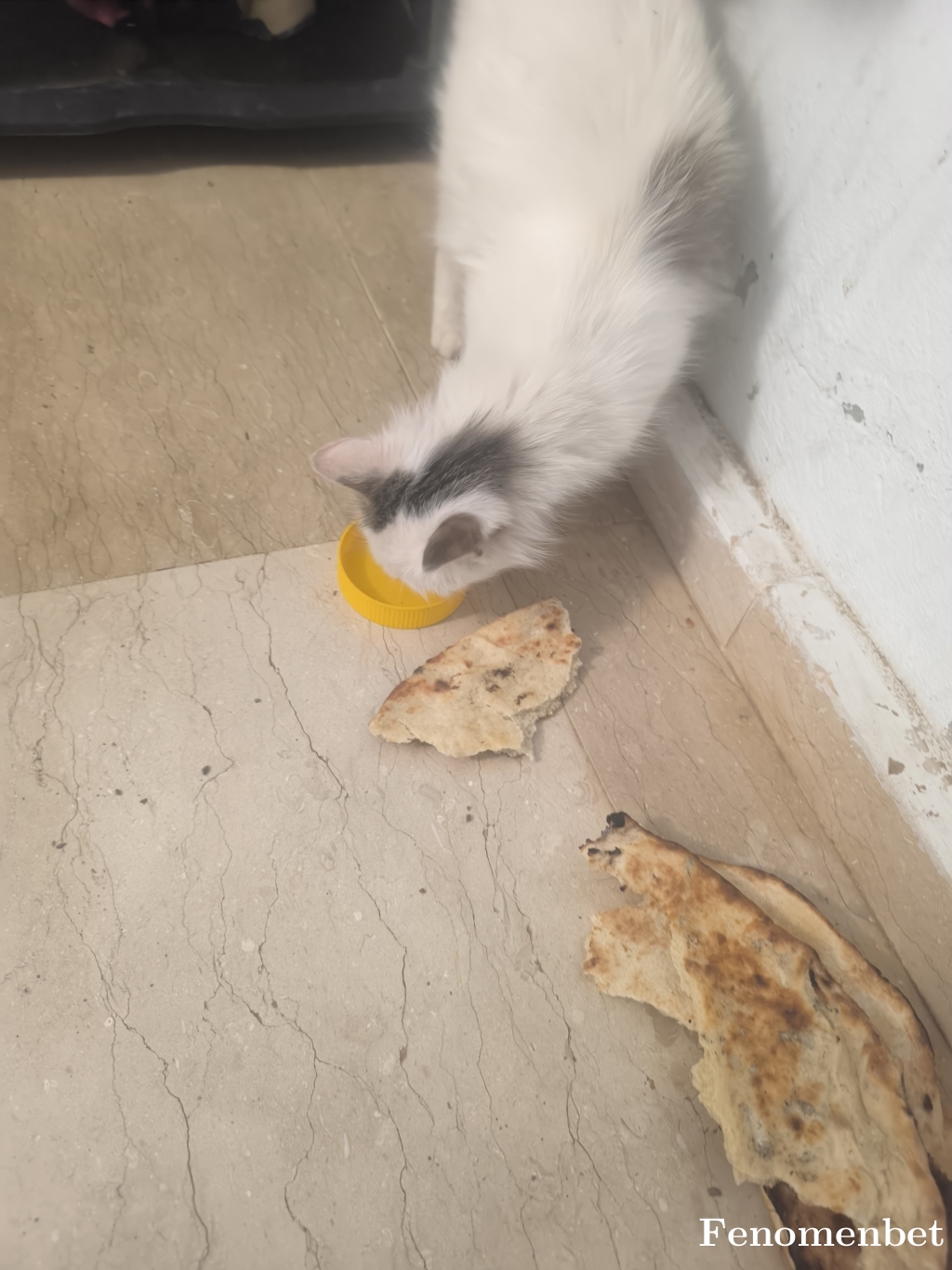 ozkan73 tarafından paylaşıldı